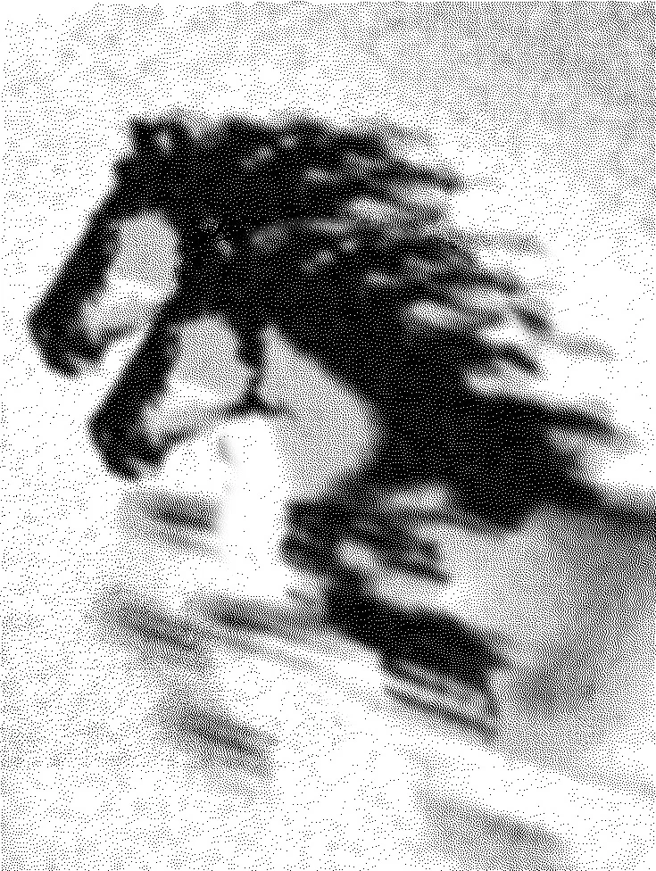 Dense halftone dot pattern forming a dark abstract animal-like silhouette on a light background — cgi studio Thinkdiff, visual filler for Thinkdiff's Insights section